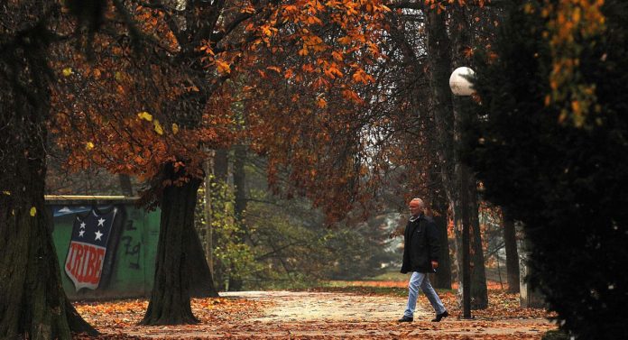 Vjeran Zganec Rogulja/Pixsell
