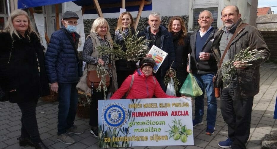 Dvostruka vrijednost maslinovih grančica | medjimurski.hr