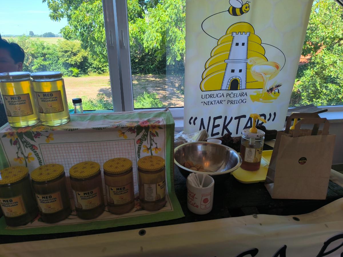 IMG 20260725