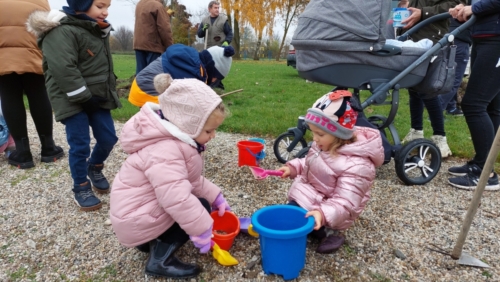 20211113 101652 (1)