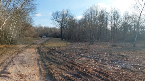20220112 100454