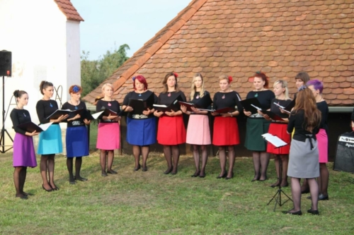 455.-obljetnica-Sigetske-bitke-13