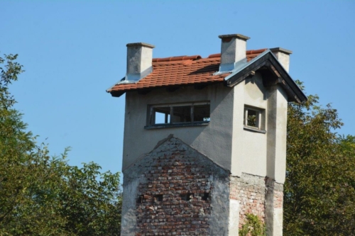 BRA-2