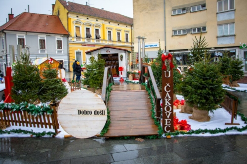 DSC 1215 (1)