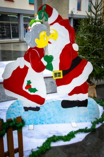 DSC 1218 (1)