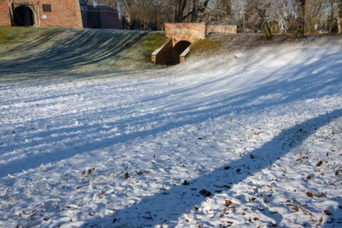 DSC 4181