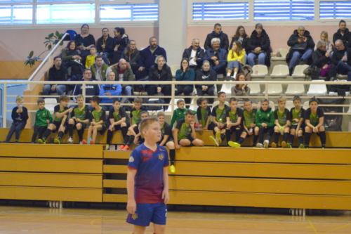 DSC 6590 (1)