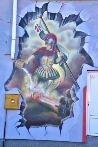DSC 8785