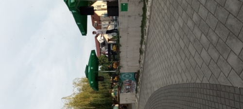 Foto-11
