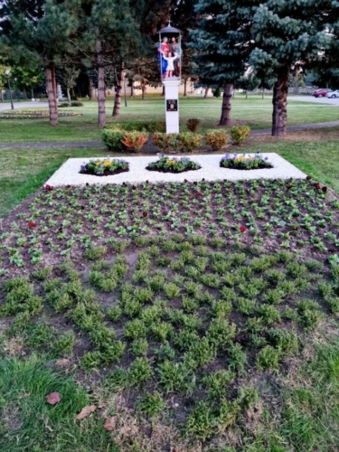 Gorican-cvijece-6