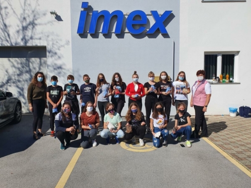 IMEX-11