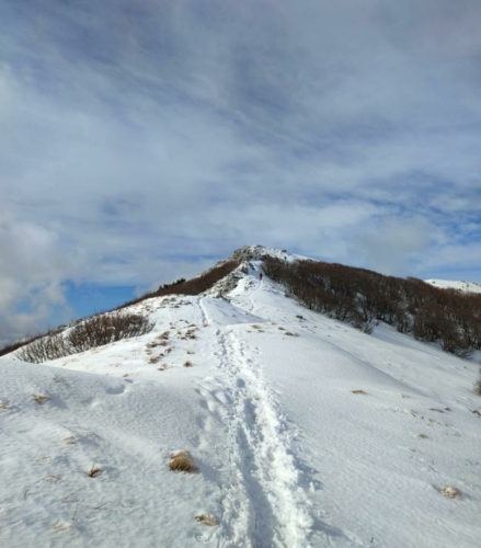 IMG-20220220-WA0051