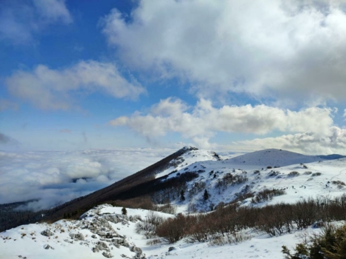 IMG-20220220-WA0055