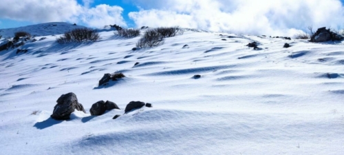 IMG-20220220-WA0079
