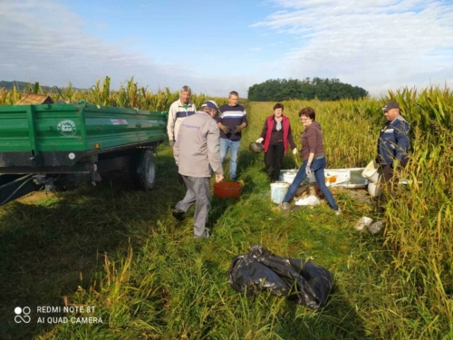 IMG-3473ff73068aa3621e7a768397e9287e-V