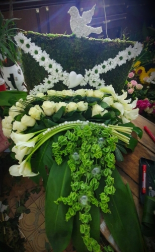 IMG-c56493ad50ffe41fe7e66f91dc575fdf-V (1)