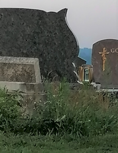 IMG 20210815 063136-2