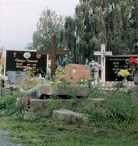 IMG 20210815 063141-2