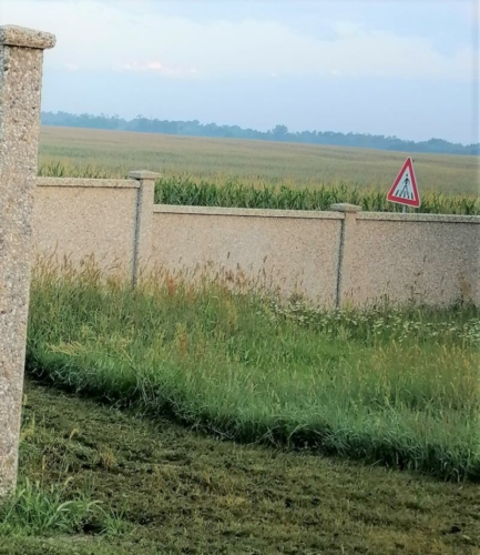 IMG 20210815 063331-2