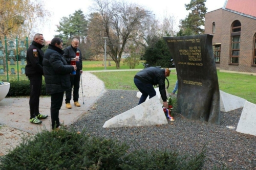 IMG 2810 (1)
