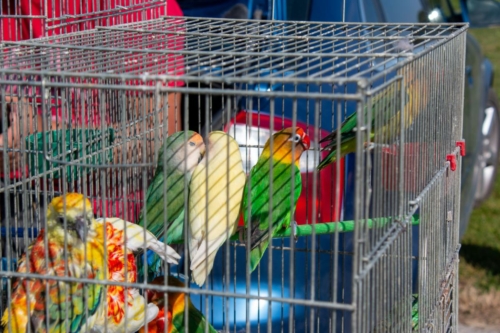IMG 3076 (1)