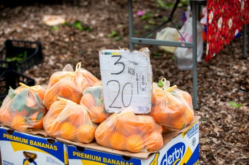 IMG 7263 (1)