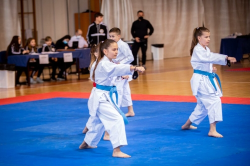 IMG 7646