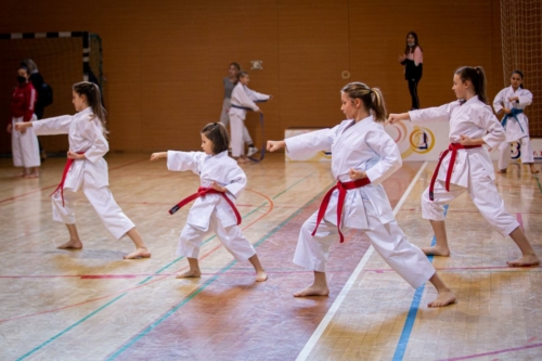 IMG 7664