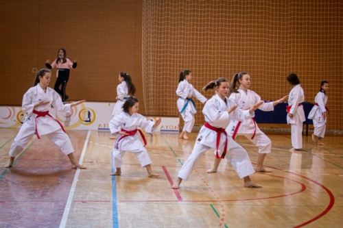 IMG 7665