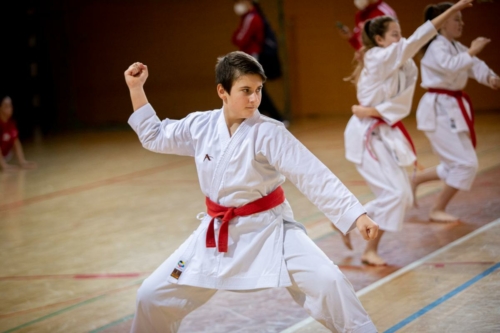 IMG 7680