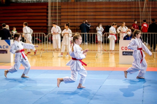 IMG 7685