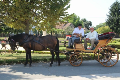 Rokovo-2021-9