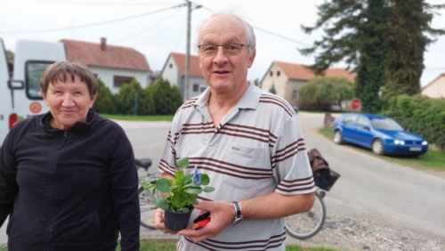Svecenik-Mirko-Pilaj