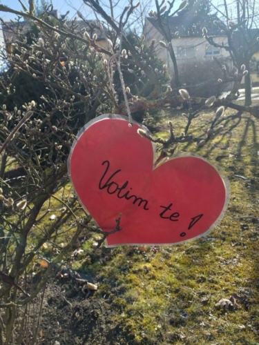 VALENTINOVO-7